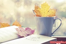 نوشتن دفتر خاطرات به این افراد کمک می کند