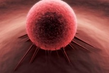 هجوم خاموش سونامی سرطان در ایران