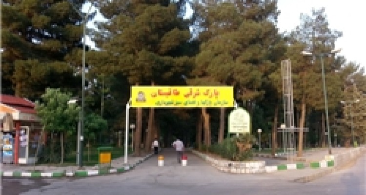 نجوای تشنگی درختان کهنسال به تن کوه طاق‌بستان + تصاویر