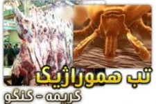 وقتی تب کریمه کنگو مثل کنه به جامعه می چسبد