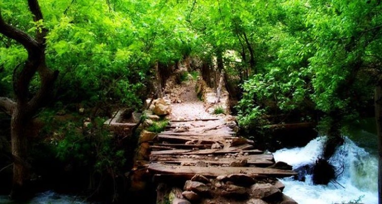 دیگر صدای ریزش آب از «ریژآو» نمی‌آید