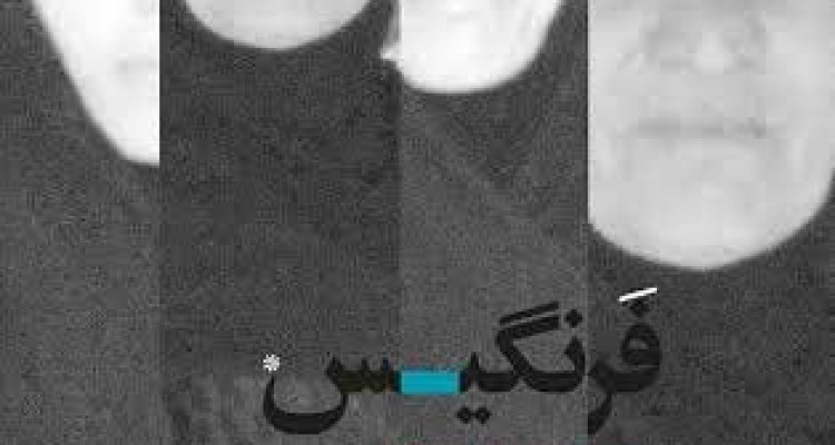 	کتاب «فرنگیس» اثر هنرمند کرمانشاهی رونمایی می شود 