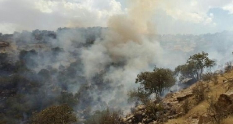 	ژانر وحشت آتش سوزی جنگل های گیلانغرب به قسمت سیزدهم رسید + تصاویر 