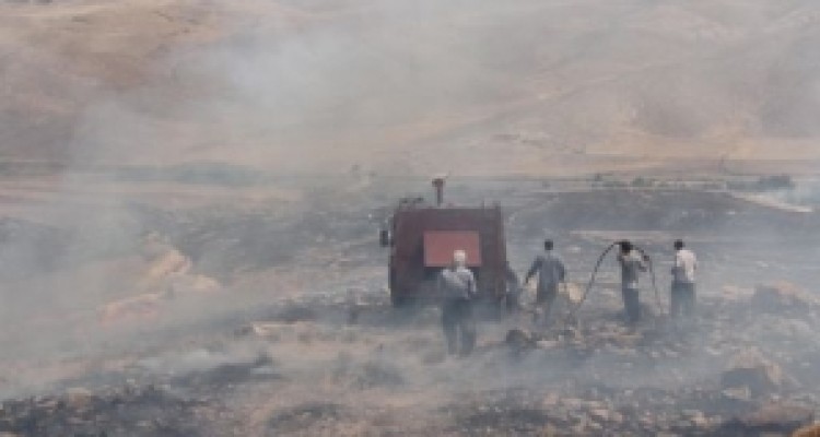 	لباس سبز کرمانشاه سیاه شد/ روایتی تلخ از ذغال شدن پوشش جنگلی 