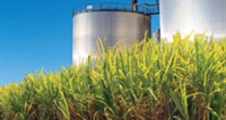 رییس سازمان گسترش و نوسازی صنایع ایران: برای پاسخگویی به اشتغال باید طرح‌های صنعتی جدید ایجاد کنیم