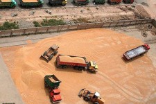   در قبال واردات گندم‌ از کشورهای آلوده کوتاه نمی‌آییم/ موضوع را روشن می‌کنیم