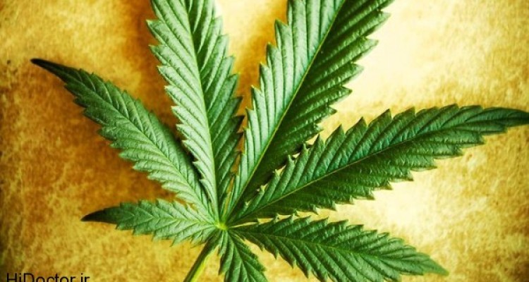  عوارض جسمانی و روانی مصرف حشیش 