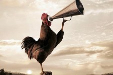  فواید سحر خیزی و روش هایی برای سحرخیز بودن 