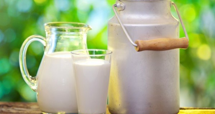 مجوز گرانی شیر، ماست و پنیر صادر شد/ اعمال از سه‌شنبه