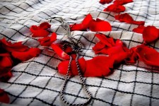 تقدیر از یک شهید استاندارد کلاسیک/ خواننده اپرایی که رزمنده شد