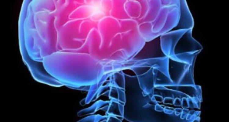  غذاهای دشمن مغز را بشناسید 