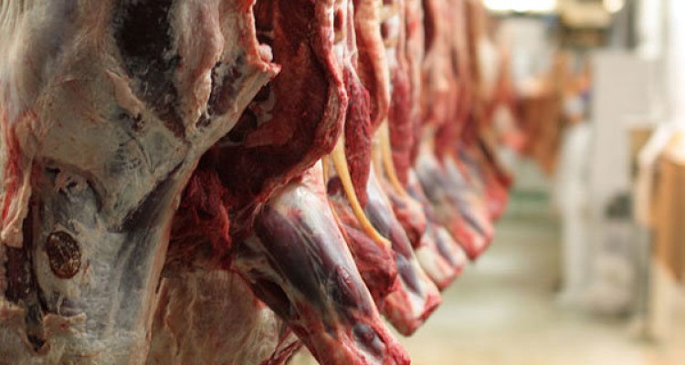قیمت گوشت گوسفندی کیلویی ۵ هزار تومان گران شد