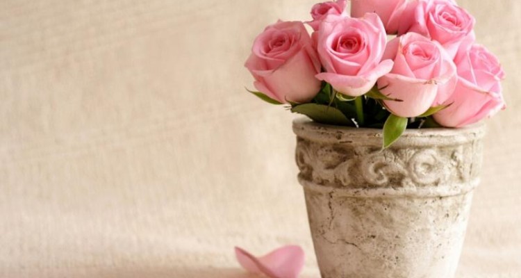  راهنمای انتخاب گلدان مناسب منزلتان 