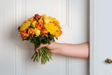  8 راه برای صلح داماد و مادرزن 