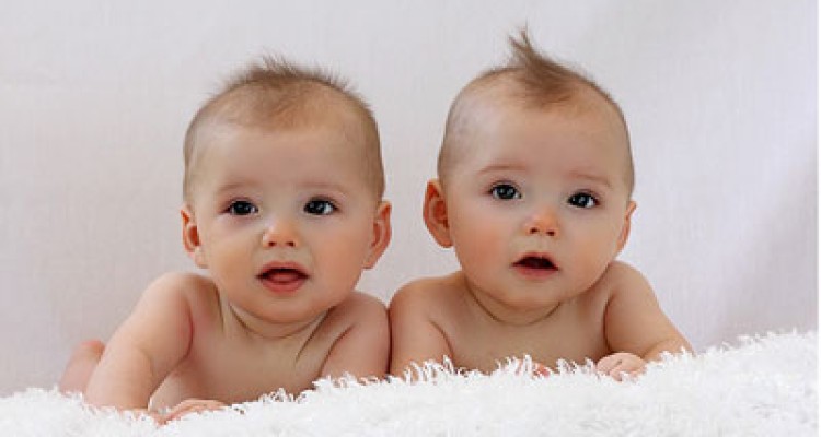  دوقلو زایی چگونه اتفاق می افتد؟ 