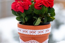  نحوه نگهداری گل در گلدان در مدت زمان طولانی 