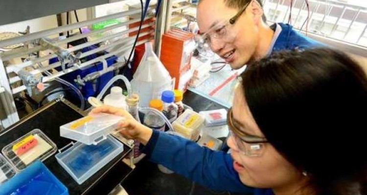 کلید درمان چاقی کشف شد