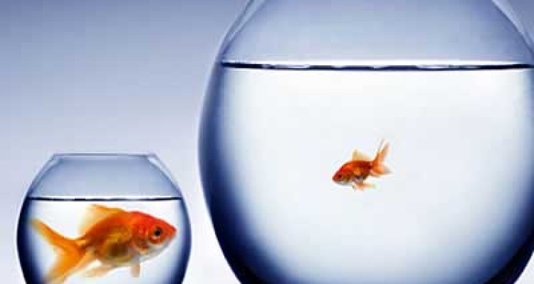 دست از مقایسه کردن زندگی‌تان بردارید