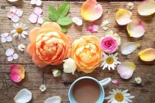  طرز برق انداختن گل های مصنوعی با نمک 