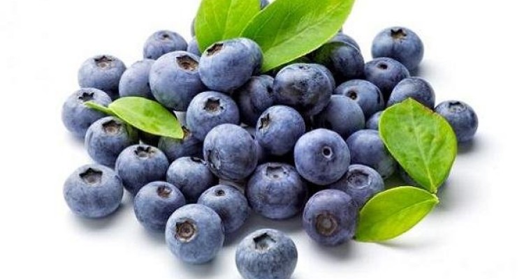 فواید خوردن بلوبری در بهبود حافظه و کاهش خطر زوال عقل