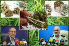 جهش‌های آزمایشگاهی موادمخدر/ کشت «گل» درگلدان‌های خانگی!