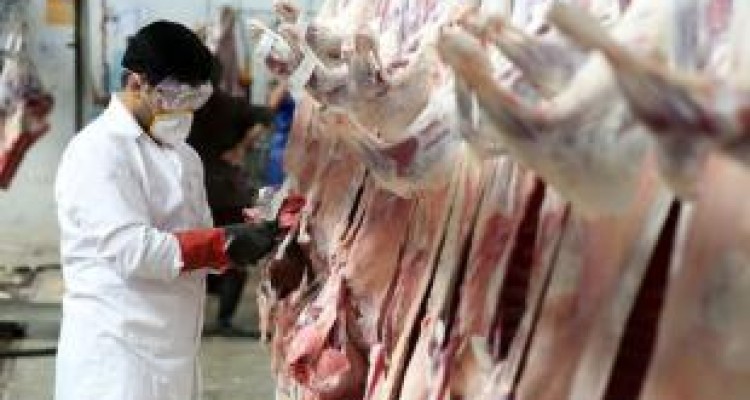 افزایش نظارت بر مراکز عرضه فرآورده‌های خام دامی در کرمانشاه 