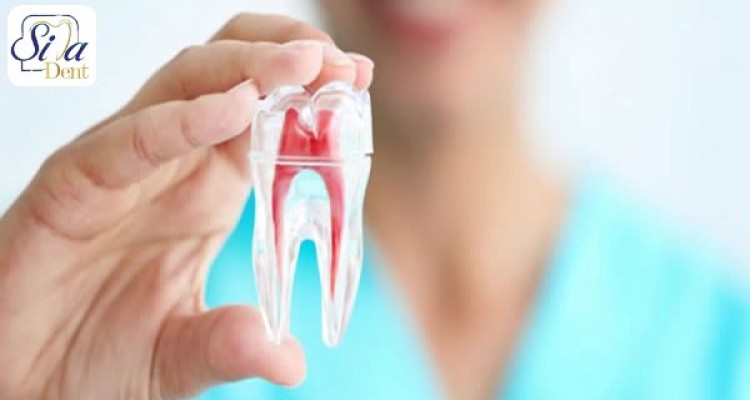 تبعات ترس از کرونا/خطرات مصرف بی رویه فلوراید