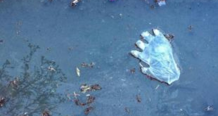 غفلت از مدیریت پسماندهای بهداشتی سد راه کنترل کرونا 