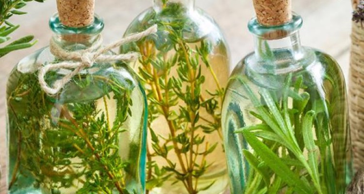  واحد فرآوری گیاهان دارویی در صحنه سالانه 120 تن عرقیات تولید می کند