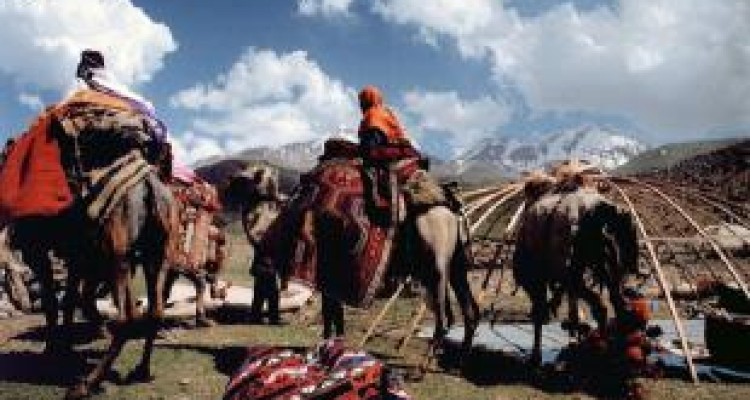 کوچ بهاره عشایر باید با تاخیر باشد 