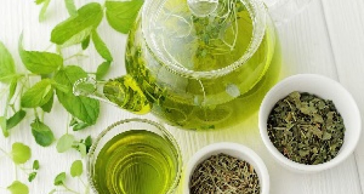 تاثیر عصاره چای سبز در مقابله با فیبروز ریوی