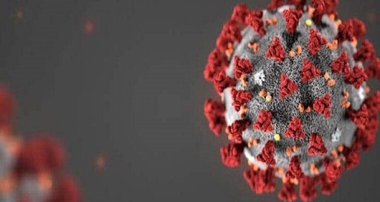 کووید ۱۹ به مغز آسیب می رساند