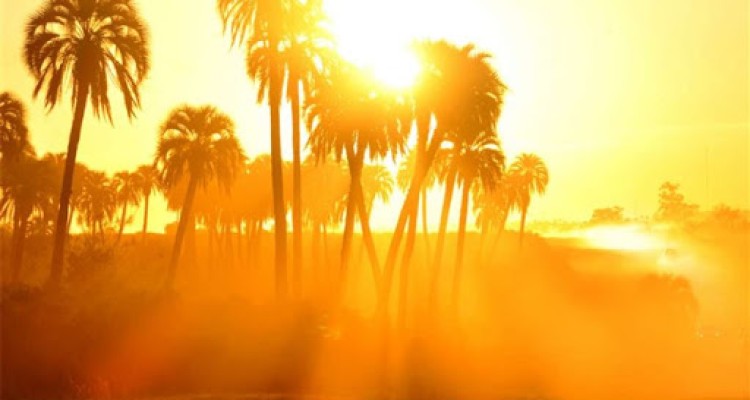  آیا انتشار ویروس کرونا با گرم شدن هوا متوقف می‌شود؟