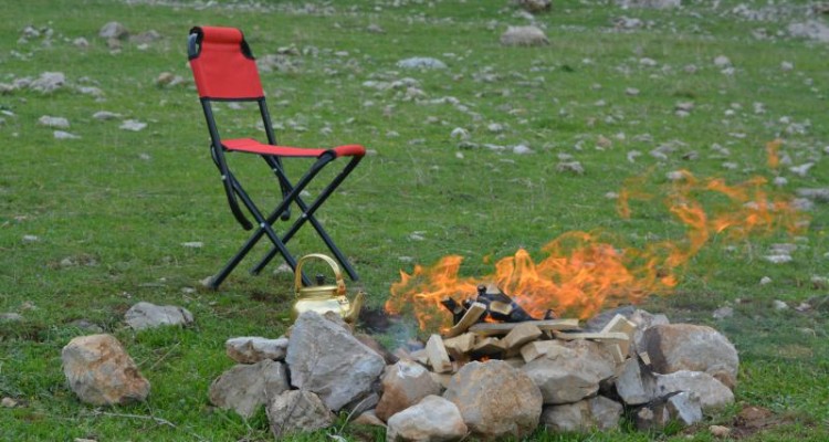 طبیعت بهاری صحنه 