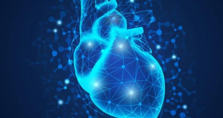  ویروس کرونا به چه نقاطی از بدن حمله می‌کند؟