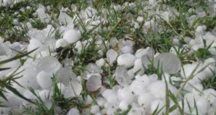 برآورد خسارت اولیه باد و تگرگ در کرمانشاه بیش از ۳۶ میلیارد تومان است 