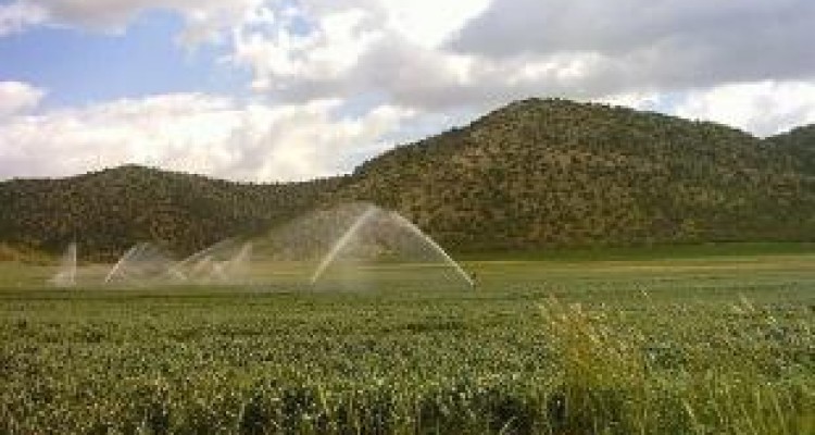 سامانه گرمسیری گامی بزرگ برای «جهش تولید» در کشور 