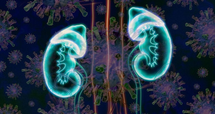 نارسایی کلیوی از عوارض جدی ابتلا به ویروس کووید۱۹