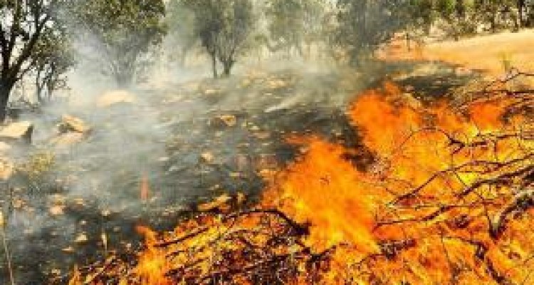 دستورات استاندار کرمانشاه برای مقابله با حریق‌های تابستانه 