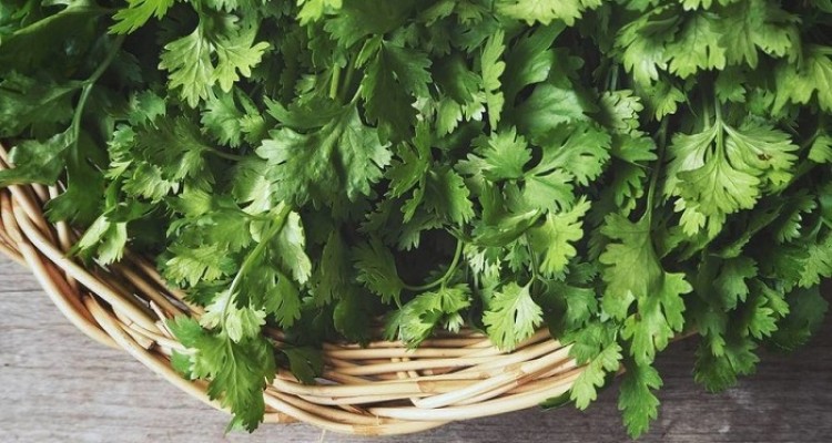 انتقال انگل فاسیولا از طریق سبزی خام و آب چشمه‌ها به انسان