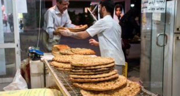 پلمب ۱۲ خبازی متخلف در کرمانشاه/ نظارت جدی بر مزارع سبزی‌کاری 