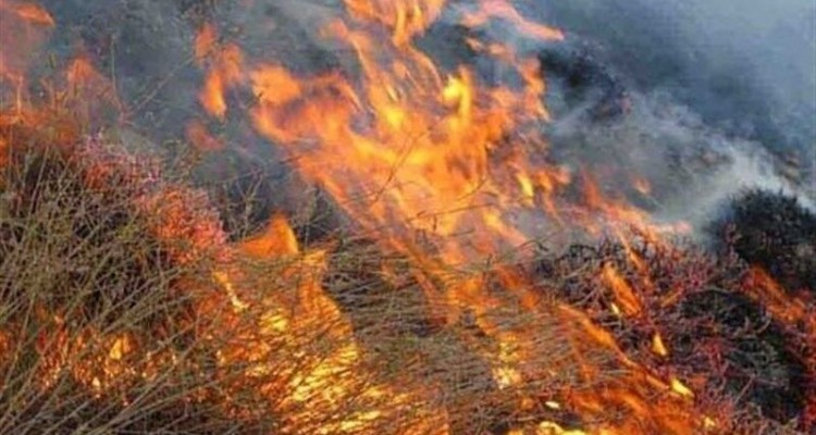 آتش سوزی ارتفاعات دربند صحنه مهار شد