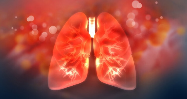  چند خوراکی مفید برای تقویت ریه‌ها