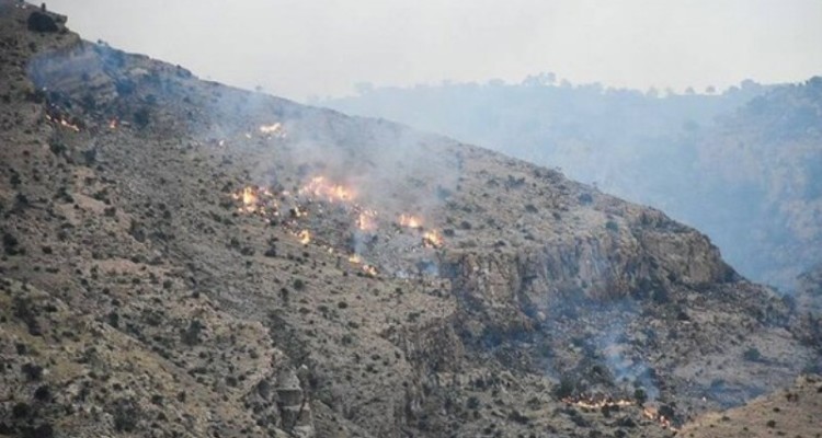 شعله‌ور شدن مجدد آتش در ارتفاعات پاوه