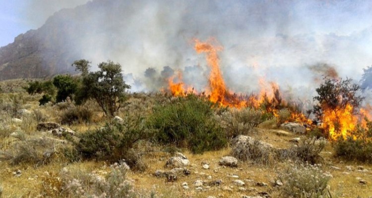  پایکوبی ضدانقلاب بر پیکر سه فعال محیط زیست/ شوآف مدیران ناکارآمد با آتش