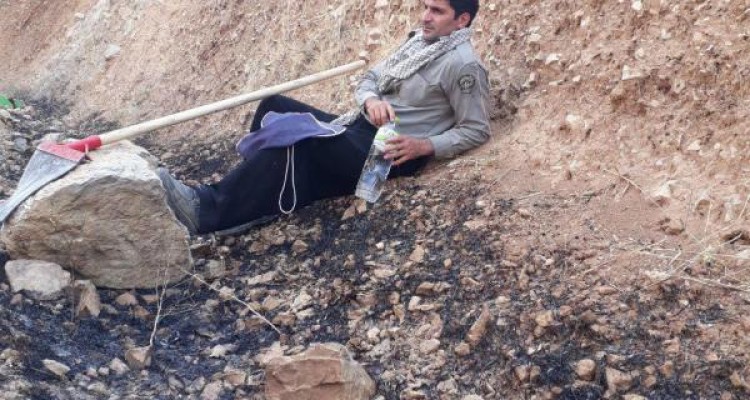 حضور شبانه روزی نیروهای محیط زیست شهرستان صحنه در اطفاء حریق منطقه پاوه