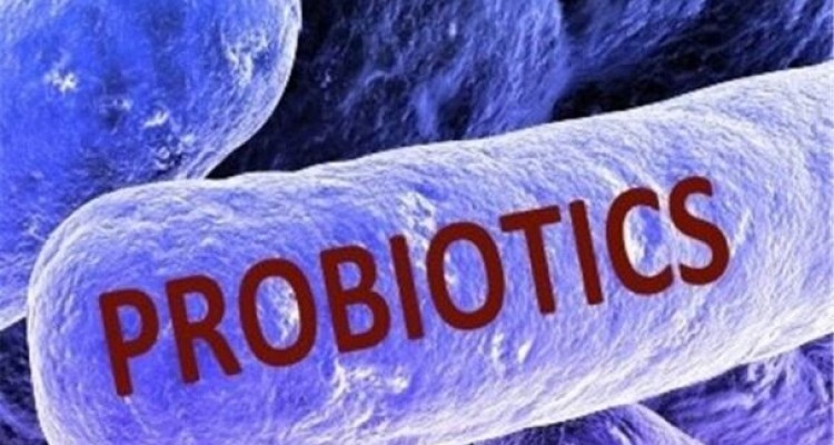 پروبیوتیک ها به تسکین افسردگی کمک می کنند