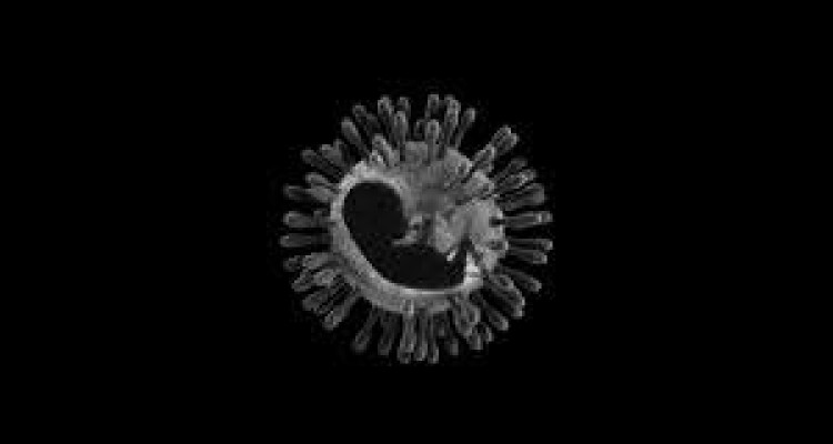  تاثیر کرونا بر باروری اثبات نشده است