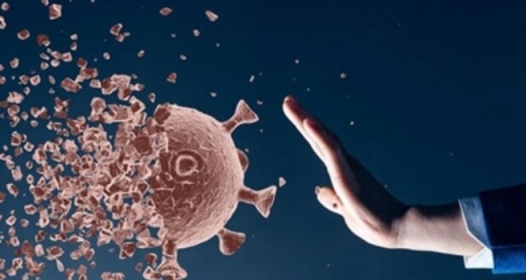 سرماخوردگی عادی به حفاظت در مقابل کووید ۱۹ کمک می کند