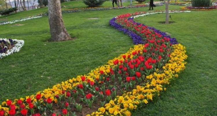  سرانه فضای سبز در کرمانشاه بیش از ۸ متر مربع است